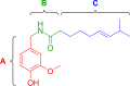 Capsaicin pharmacophore
