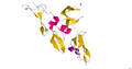 2W86 (Fibrillin)