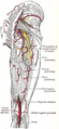 Greater trochanter