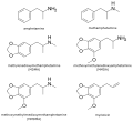 Amphetamine Derivative and Myristicin Structures