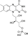 Flavin mononucleotide