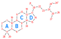 Steroid numbering