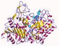 Crystal structure of phosphoenolpyruvate carboxykinase
