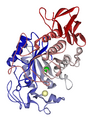 Exoenzyme