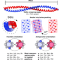 Coiled coil structure