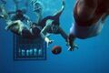 Freediving