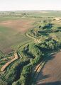 Agroforestry