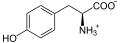 Thyroid peroxidase