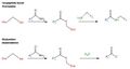 Transamidation and deamidation mechanisms of tissue transglutaminase
