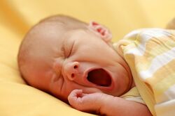Yawning Infant