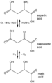 Oxaloacetate and malic acid