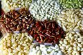 Rice grains