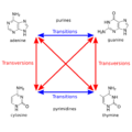 Coding region