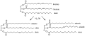 Fat Hydrogenation Process