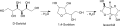 Sorbitol-Sorbitan-Isosorbid
