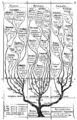 Phylogenetics