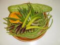 Pinakbet
