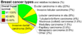 Pie chart of incidence and prognosis of histopathologic breast cancer types