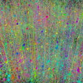 Forest of synthetic pyramidal dendrites grown using Cajal's laws of neuronal branching