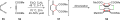 Cascade reaction
