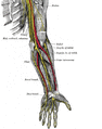 Nerve conduction velocity calculation