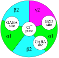 GABAA receptor protein example