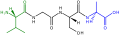 Tetrapeptide Structural Formulae