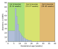 US abortion by gestational age 2016 histogram