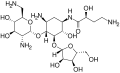Structure of Butirosin B