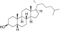 Coprostanol