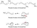 Macrocycle