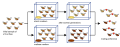Speciation