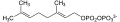 Geranyl pyrophosphate structure