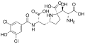 Kaitocephalin
