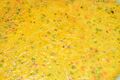 Mung Bean - Kolkata 2011-02-10 0975
