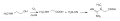 Creatine synthesis
