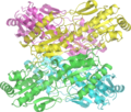Phosphofructokinase structure