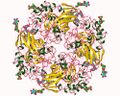 Α-Galactosidase