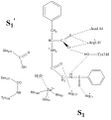Active site of Carboxypeptidase A