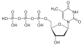 Desoxythymidintriphosphat protoniert