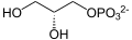 Glycerol 3-phosphate