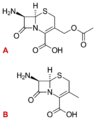 Discovery and development of cephalosporins