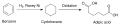 Hydrogenation Raney nickel