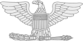 Colonel Insignia