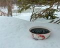 Chinese herbal decoction on snow