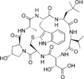 Phallacin