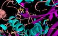Tissue transglutaminase