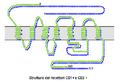Cannabinoid Receptor Structure