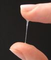 Cervical mucus