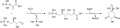 Shikimate pathway 1